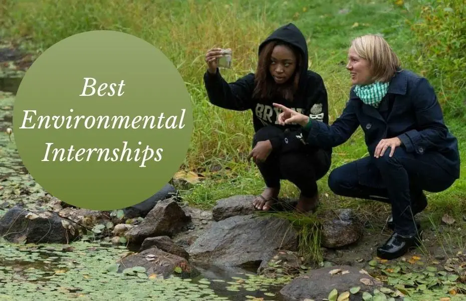 Best Environmental Internships